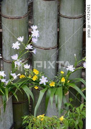 竹と花　 4724261