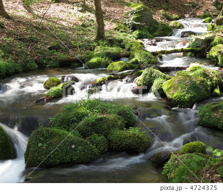 尚仁沢湧水 4724375