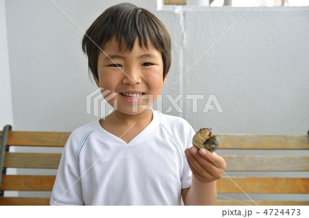 カブト虫 4724473