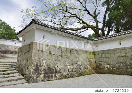 飫肥城跡 飫肥城跡 4724539