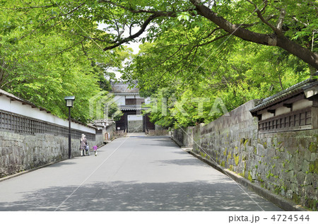 飫肥城 大手門 飫肥城 大手門 4724544
