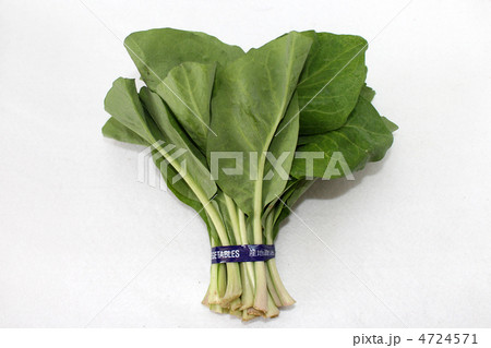 ンジャナ(苦菜) ンジャナ(苦菜) 4724571