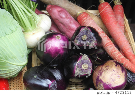 京野菜 京野菜 4725115