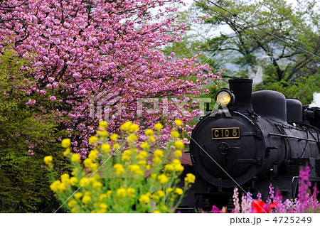 花とＳＬ 4725249