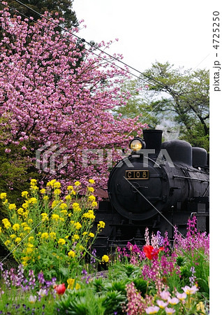 花とＳＬ 4725250