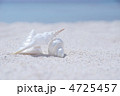 貝がら 4725457