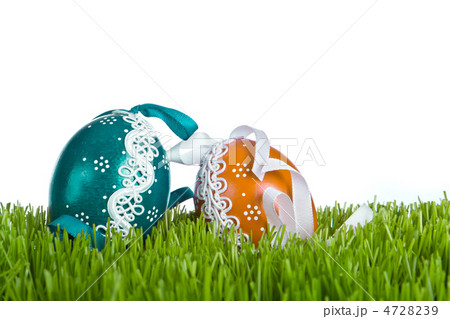 easter eggs in grass easter eggs in grass 4728239
