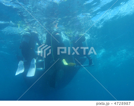 ダイバー ダイバー 4728987