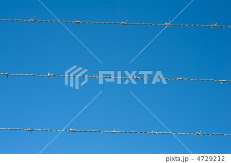 barbed wire 4729212