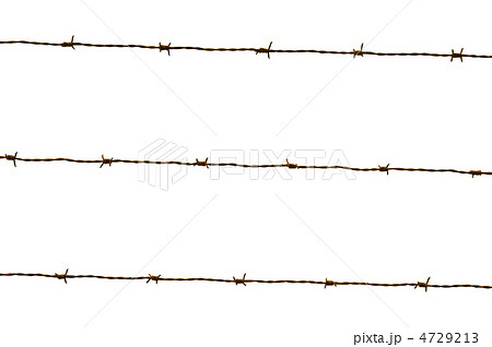 barbed wire 4729213