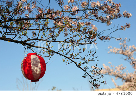 花の宴-3 花の宴-3 4731000