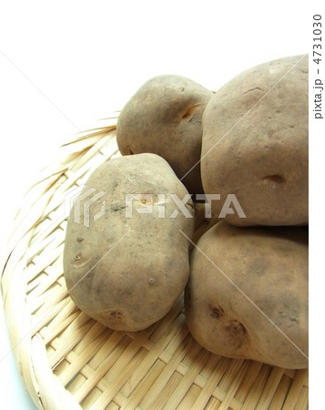 じゃがいも　( 男爵　)　 4731030