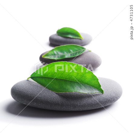 zen stones with leaves 4731105