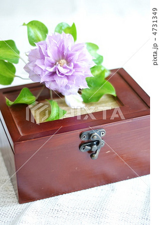 木箱とクレマチス 4731349