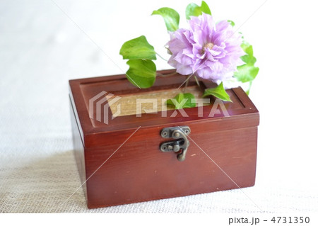 木箱とクレマチス 4731350