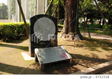「春風や まりを投げたき 草の原(正岡子規)」の石碑（上野恩賜公園／東京都台東区） 4731538