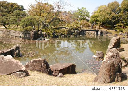 二条城の「二の丸庭園」（京都市中京区二条通堀川西入二条城町） 4731548