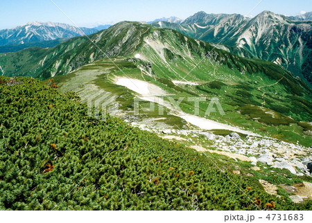 双六岳稜線から望む三俣蓮華岳と北アルプス最奥の山々 双六岳稜線から望む三俣蓮華岳と北アルプス最奥の山々 4731683