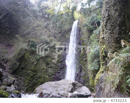 養老の滝 4733223