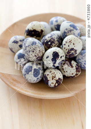 うずらのたまご 4733860