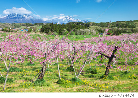 長野　飯綱町　丹霞郷 4734474