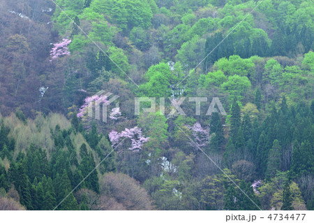 秋田　北秋田市　阿仁 4734477