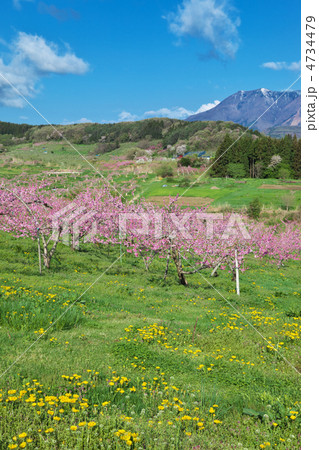 長野県　飯綱町　丹霞郷 4734479