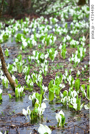 岩手　西和賀町 4734490