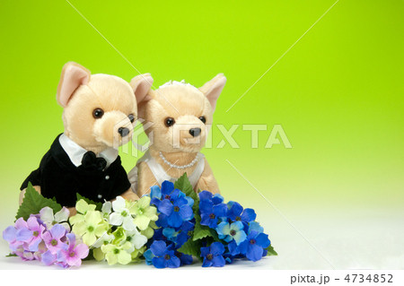 犬のぬいぐるみの新郎新婦 4734852