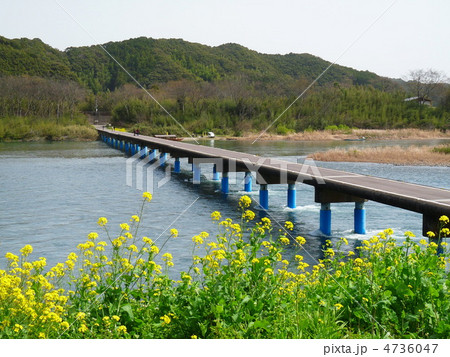 四国 高知 四万十川の佐田沈下橋 4736047