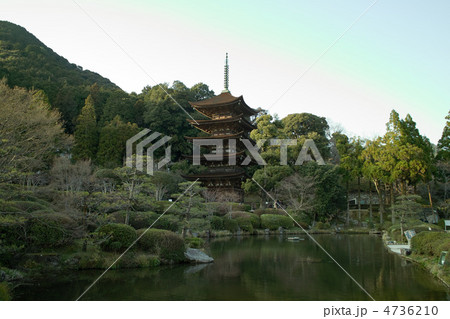 瑠璃光寺　五重塔 4736210