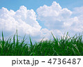 草ナメ入道雲 4736487