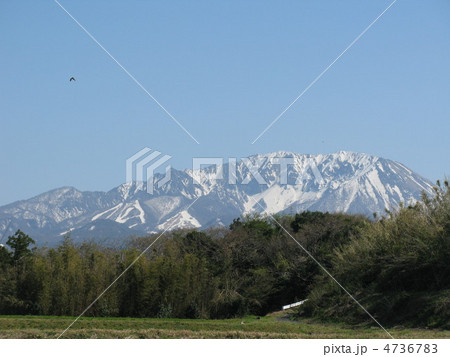 雪山　大山 4736783