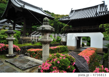 京都　興聖寺 4736813