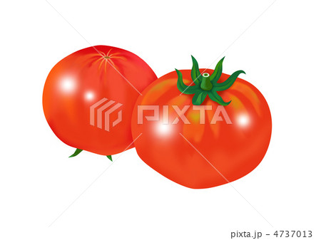 トマト２個 4737013