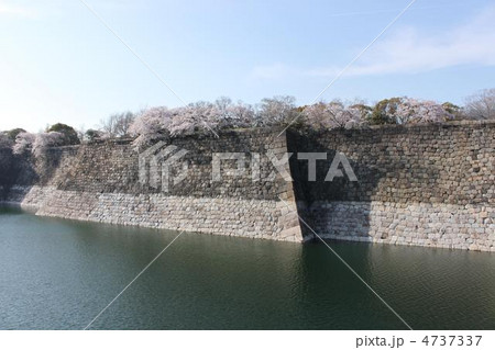 大阪城の城壁と桜 4737337