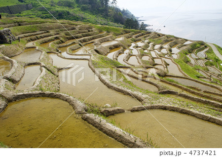 白米千枚田 4737421