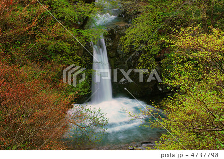 小泉の滝(群馬県中之条町） 4737798