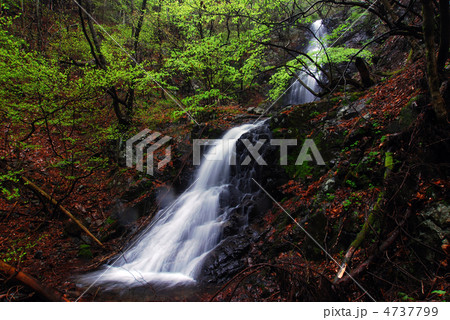 四万不動の滝(群馬県中之条町) 四万不動の滝(群馬県中之条町) 4737799