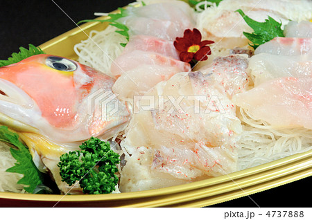おいしい鯛の刺身 4737888