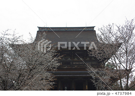 金峯山寺と桜 4737984