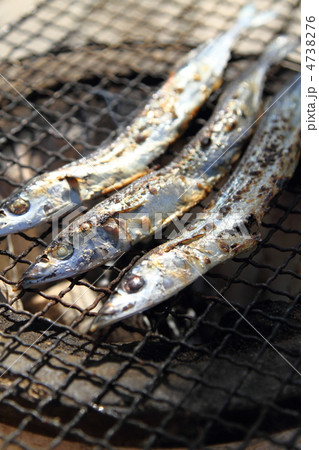 秋刀魚の丸干し七厘焼き 秋刀魚の丸干し七厘焼き 4738276