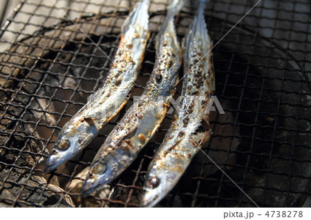 秋刀魚の丸干し七厘焼き 秋刀魚の丸干し七厘焼き 4738278