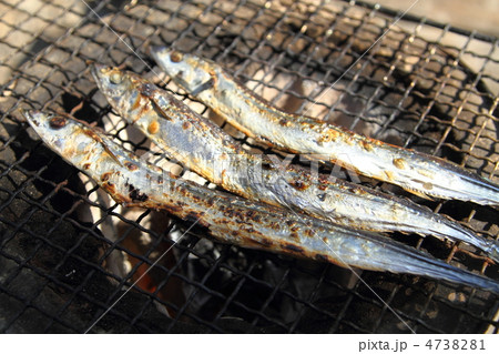 秋刀魚の丸干し七厘焼き 秋刀魚の丸干し七厘焼き 4738281