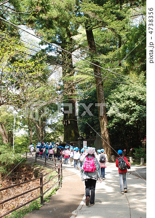 高尾山の参道 春 高尾山の参道 春 4738356