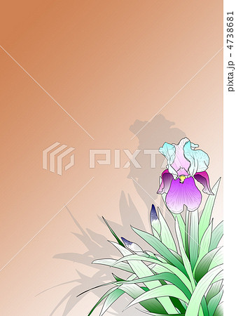 花菖蒲 4738681
