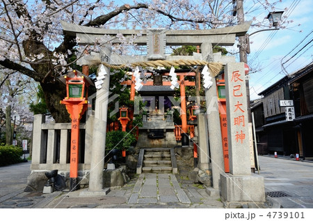 春の辰巳大明神 4739101