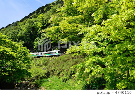 鉄道　 叡山電鉄　 叡電　 新緑　 851　 貴船口 4740116