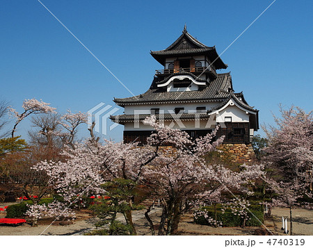桜咲く犬山城 4740319