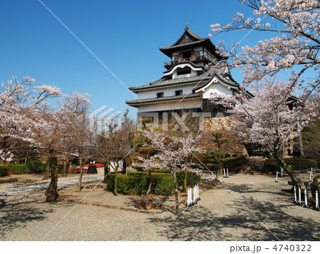 桜咲く犬山城 4740322